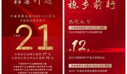 奥园集团爆料新闻联播